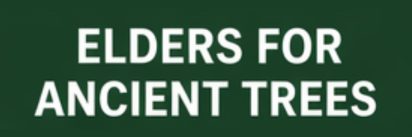 Logo 6
